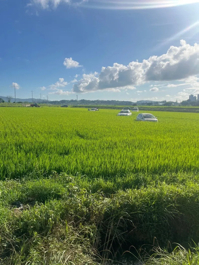 폭우 이후 충남 서산 근황 | 인스티즈