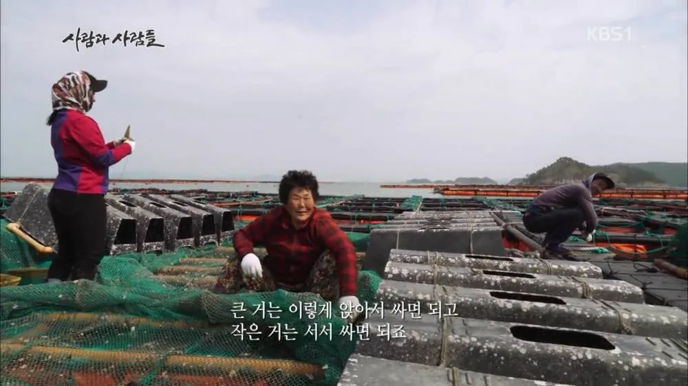 한국산 굴 먹으면 안되는 이유 | 인스티즈
