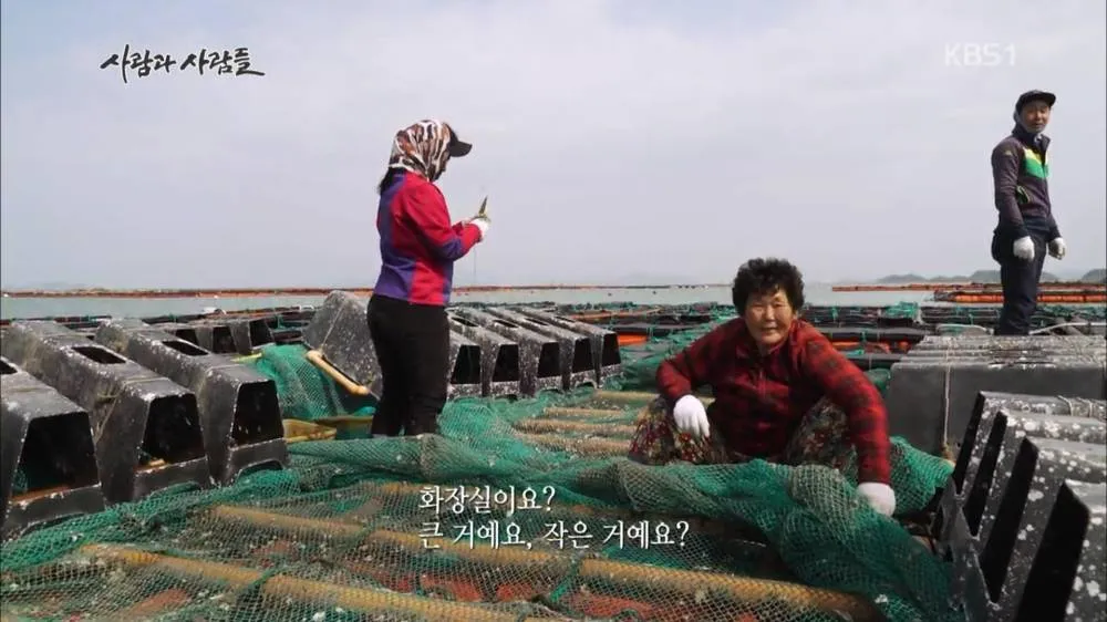한국산 굴 먹으면 안되는 이유 | 인스티즈