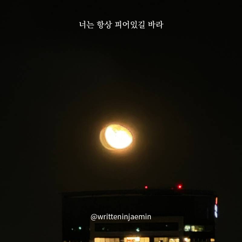 [피어있길바라] 마음이 편할 때까지, 평안해질 때까지 | 인스티즈