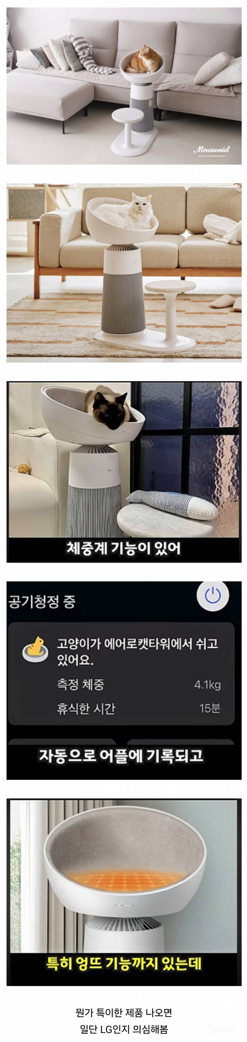 고양이 집사 타겟으로 만든 LG 공기청정기 + 켓돔 | 인스티즈