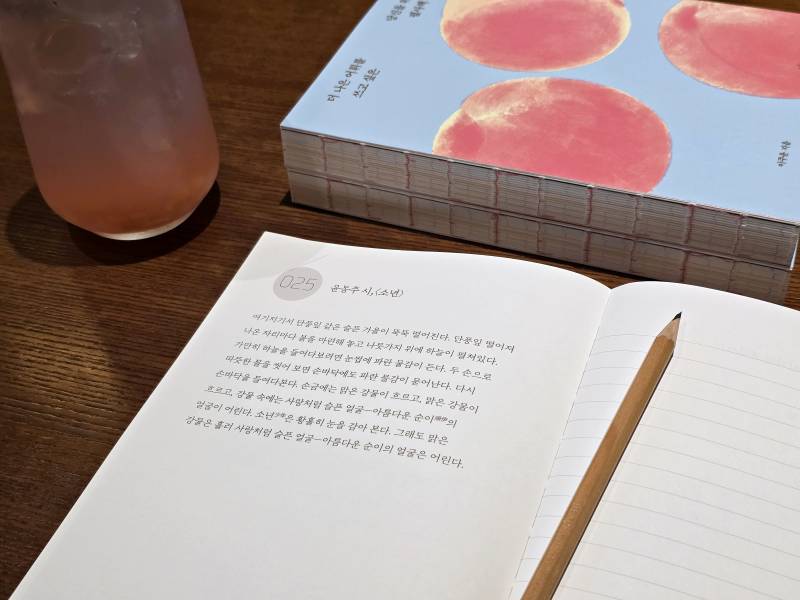 도서 '더 나은 어휘를 쓰고 싶은 당신을 위한 필사책 (복숭아 에디션)' 증정 이벤트 | 인스티즈