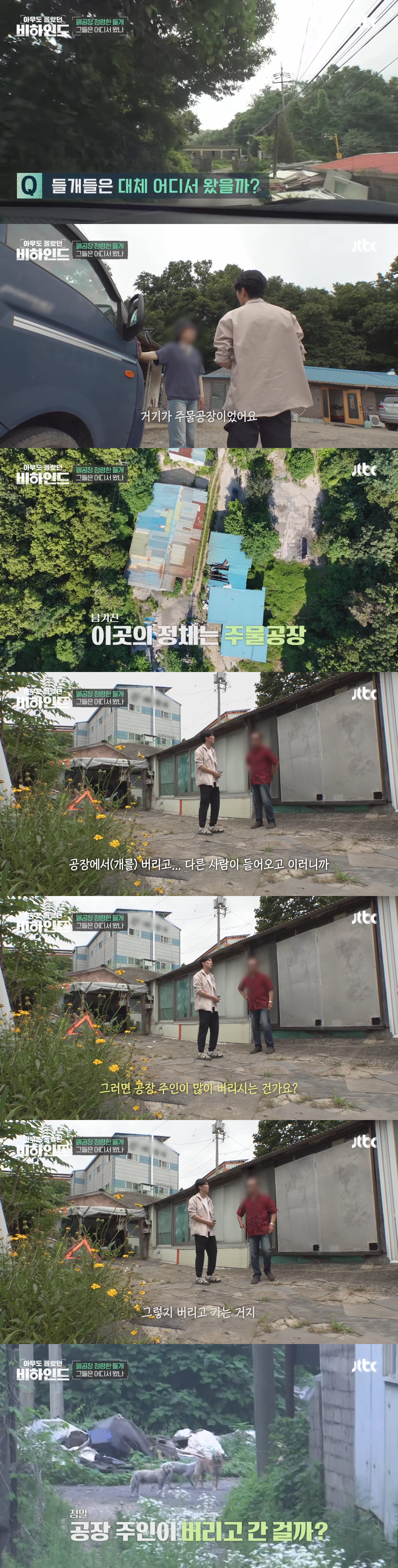 폐공장에 버려진 들개를 구조하는 사람들 | 인스티즈