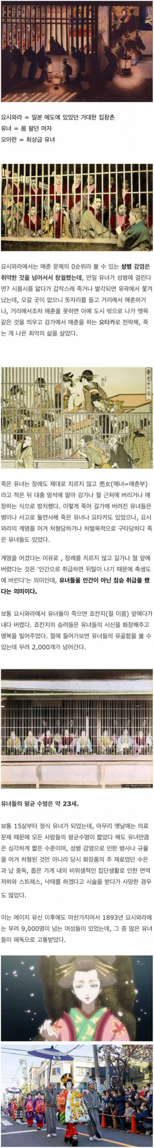 평균 수명 약 23세였던 일본 요시와라 유녀들.jpg | 인스티즈