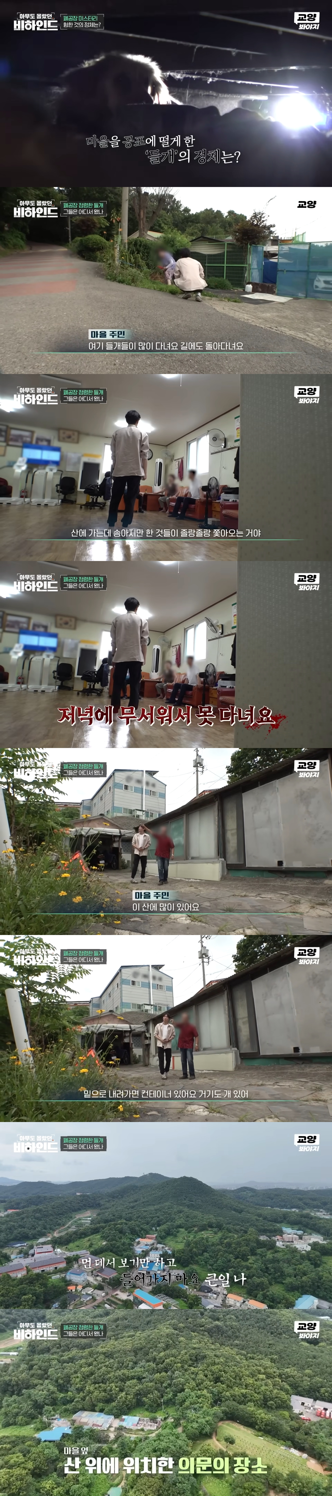 폐공장에 버려진 들개를 구조하는 사람들 | 인스티즈