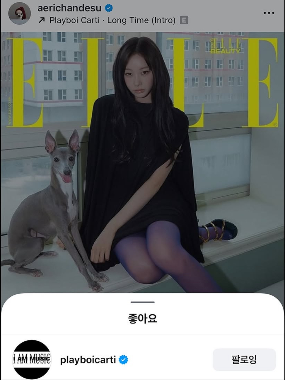 [잡담] 지젤 인스타에 좋아요 누른 플레이보이 카티… | 인스티즈