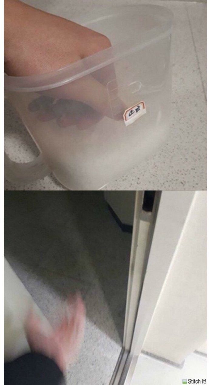 커피맛 막걸리 후기.jpg | 인스티즈