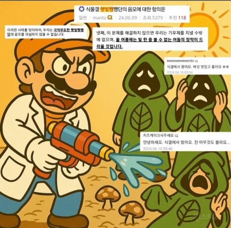 날씨로 주기적으로 싸우는 버섯갤러리와 식물갤러리 | 인스티즈