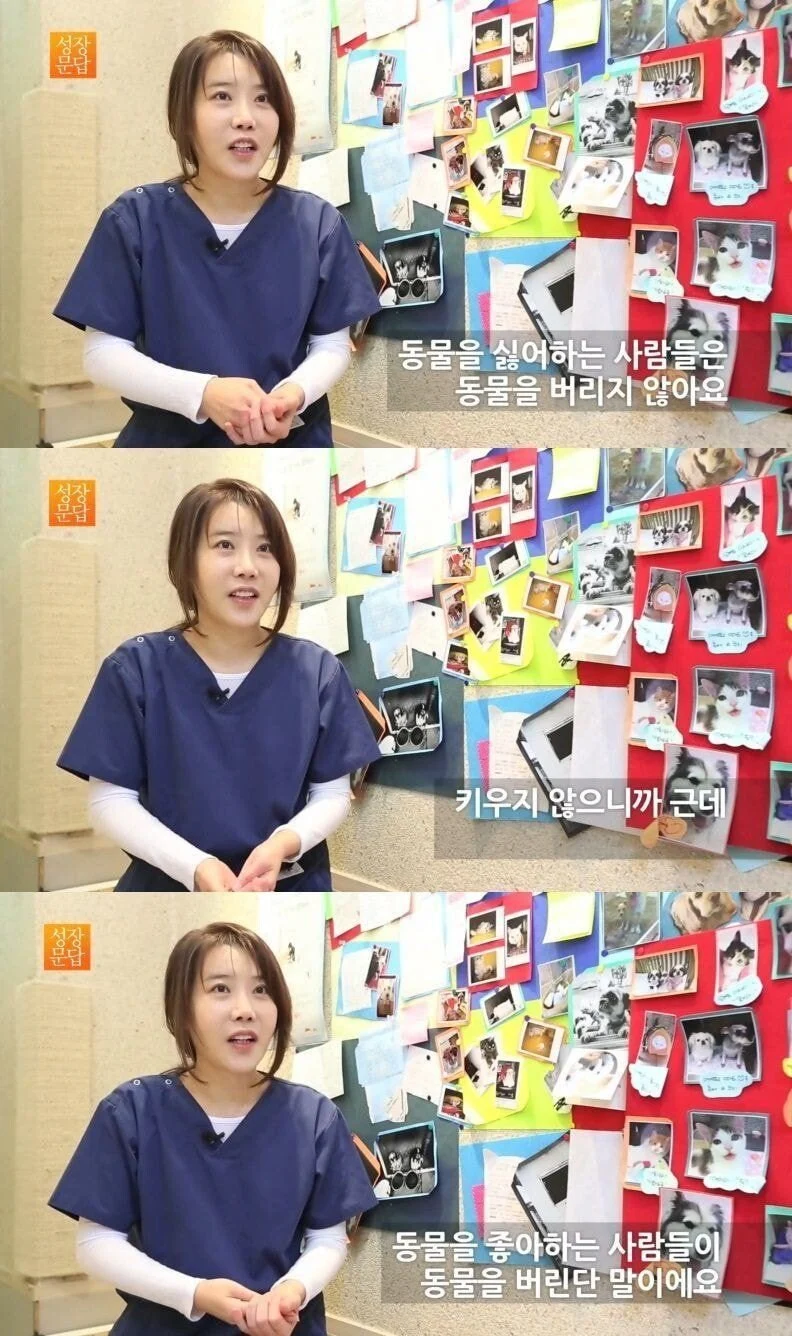 동물 버리는 사람 특징.jpg | 인스티즈