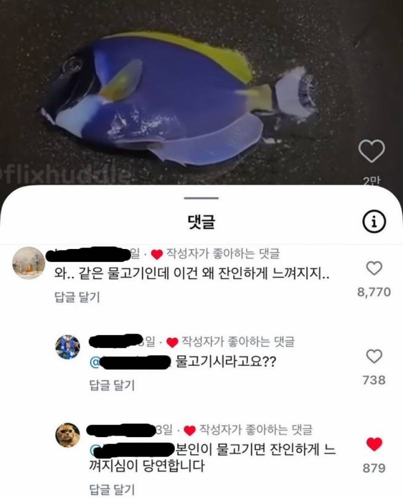 잼민이들 드립은 틱톡에서 직접보면 안웃긴데 짹에서 보면 ʲᵒⁿⁿᵃ웃김 | 인스티즈