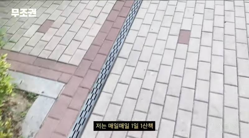 가끔 1일 3산책도 한다는 반려인 .jpg | 인스티즈