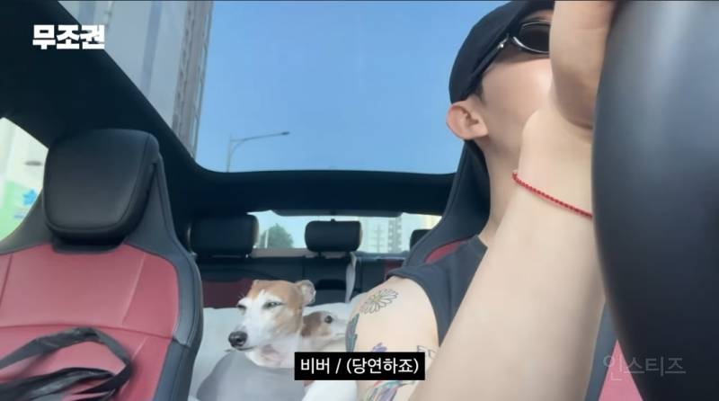 가끔 1일 3산책도 한다는 반려인 .jpg | 인스티즈