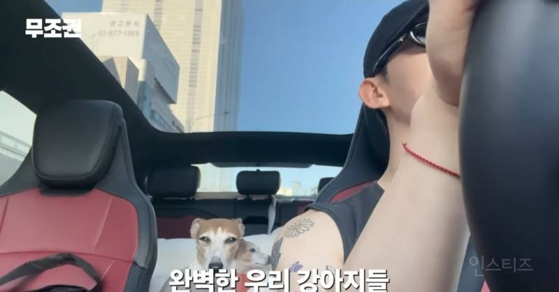 가끔 1일 3산책도 한다는 반려인 .jpg | 인스티즈