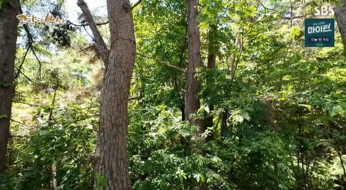 ???: 잠시만 귀기울여 보세요 | 인스티즈