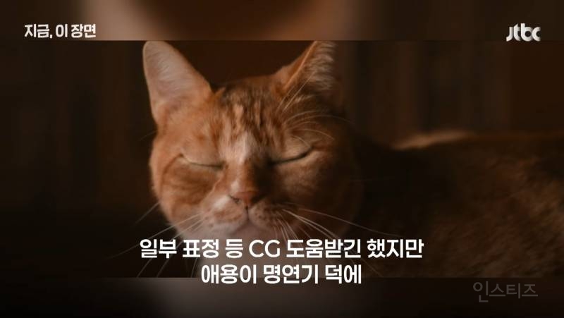 영화 좀비딸이 제작비를 아낄 수 있었던 이유.jpg | 인스티즈