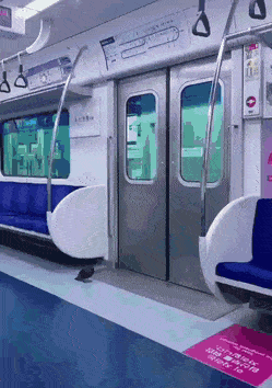 [잡담] 서울가면 비둘기가 지하철도 타..? | 인스티즈