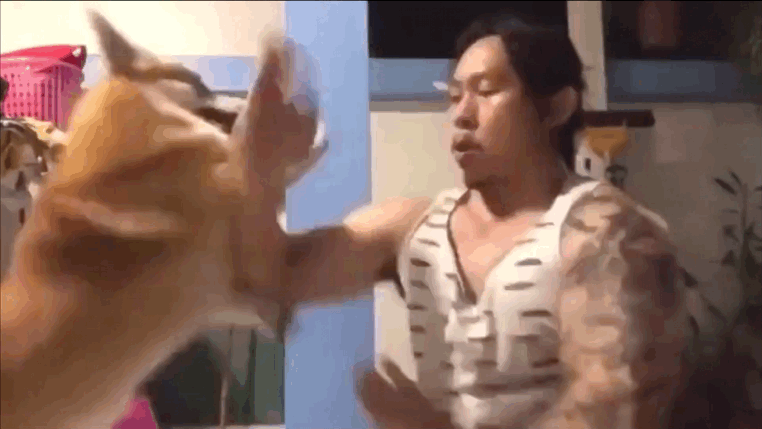 강아지 안키우는사람들은 왜 때리냐고 너무 쎈거 아니냐고 걱정하는거 ㅋㅋㅋㅋㅋㅋㅋ | 인스티즈