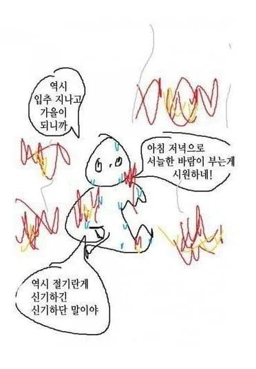 입추가 지난 한국인들 근황 | 인스티즈