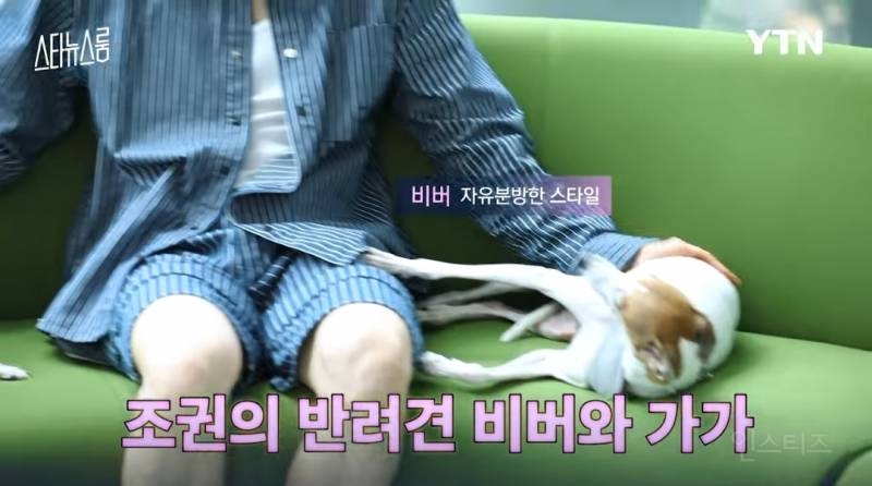 강아지 네마리랑 동시에 산책한다는 조권 .jpg | 인스티즈