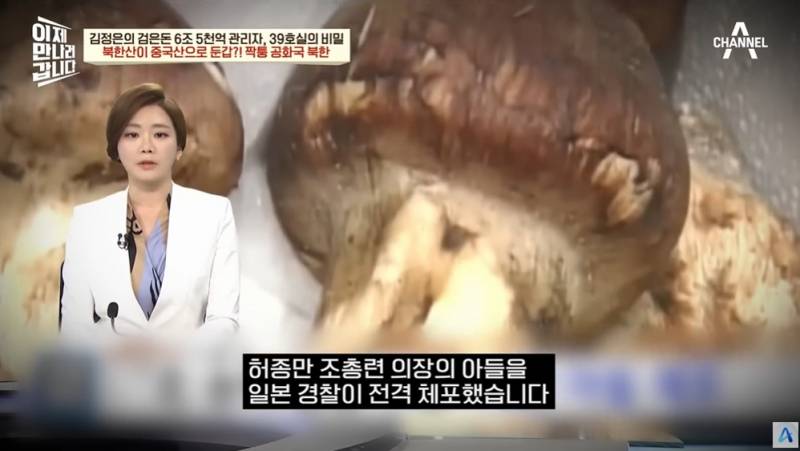 북한산송이버섯을 일본에 수출하는 방법 | 인스티즈