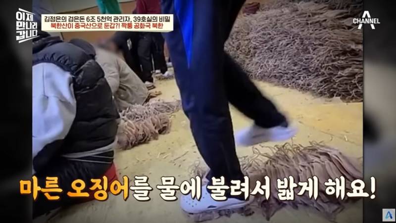 북한산송이버섯을 일본에 수출하는 방법 | 인스티즈