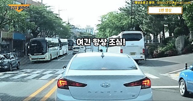 신호등 없는 횡단보도 건너는 보행자들이 종종 겪는 일.gif | 인스티즈