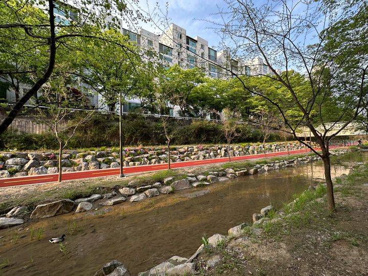 쑥쑥 자라나는 서울 아파트값 근황 | 인스티즈