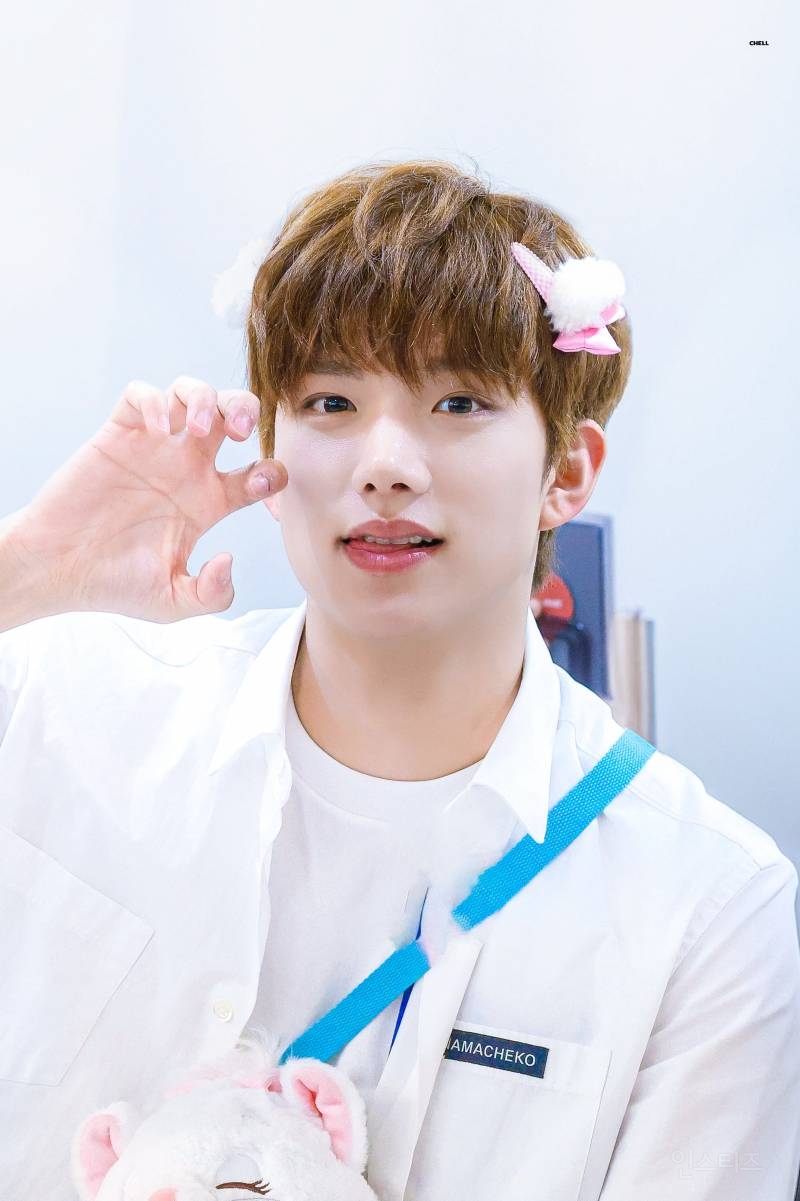 대형견의 반전 | 인스티즈