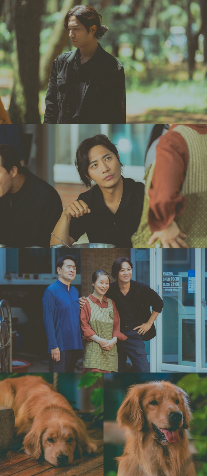 [정보/소식] 여행을 대신 해드립니다 사라진 톱스타 진구, 강아지 대리 여행? | 인스티즈