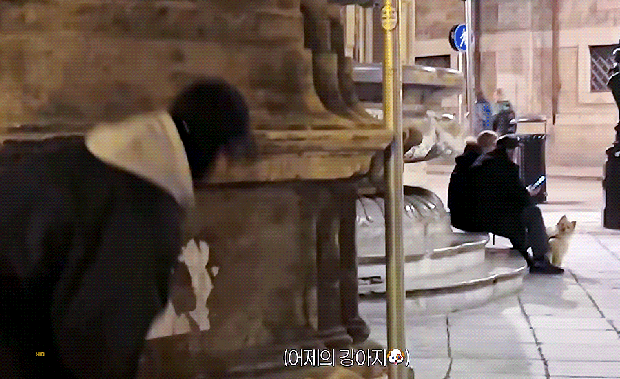 [잡담] 강아지랑 숨바꼭질 하는 변우석 | 인스티즈