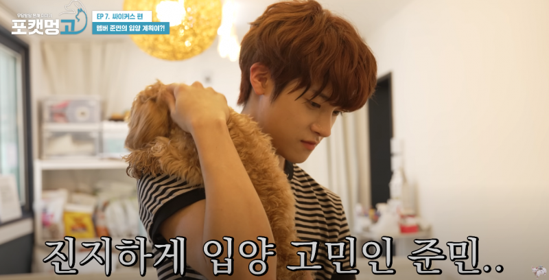 유기견 봉사활동 찰영 중 실시간으로 입양 시도한 남돌 | 인스티즈