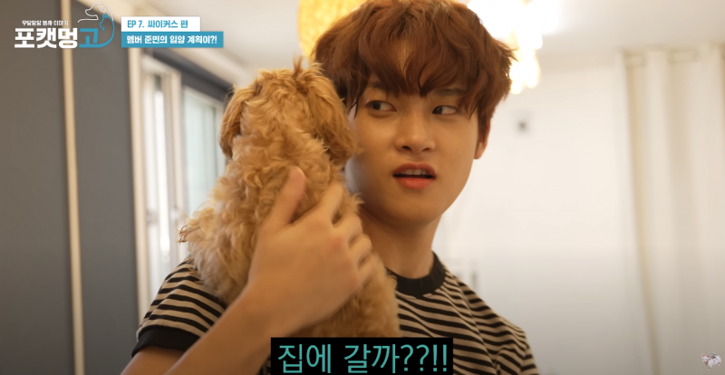 유기견 봉사활동 찰영 중 실시간으로 입양 시도한 남돌 | 인스티즈