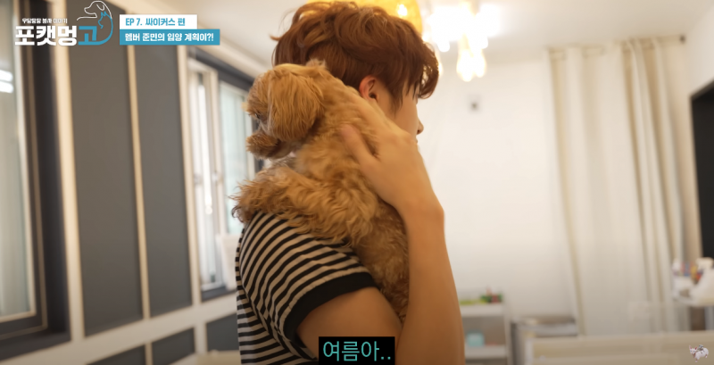 유기견 봉사활동 찰영 중 실시간으로 입양 시도한 남돌 | 인스티즈