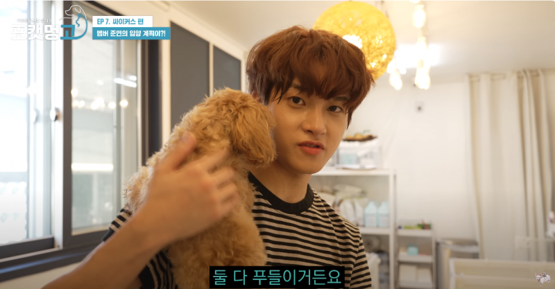 유기견 봉사활동 찰영 중 실시간으로 입양 시도한 남돌 | 인스티즈