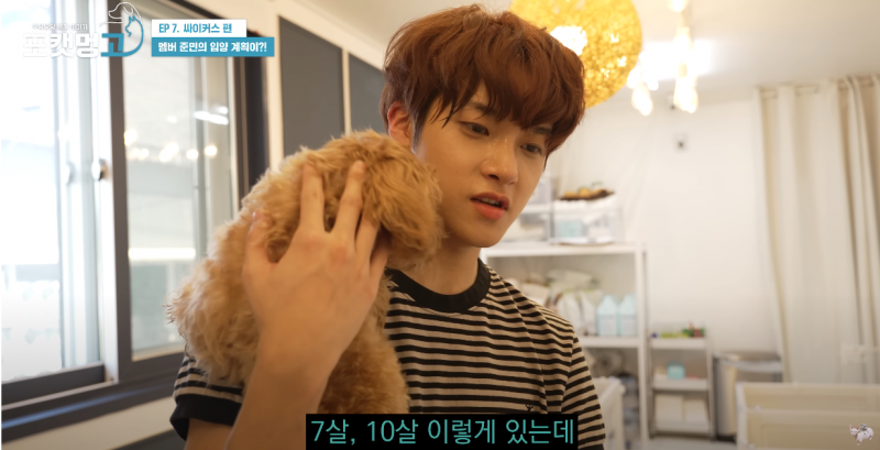 유기견 봉사활동 찰영 중 실시간으로 입양 시도한 남돌 | 인스티즈