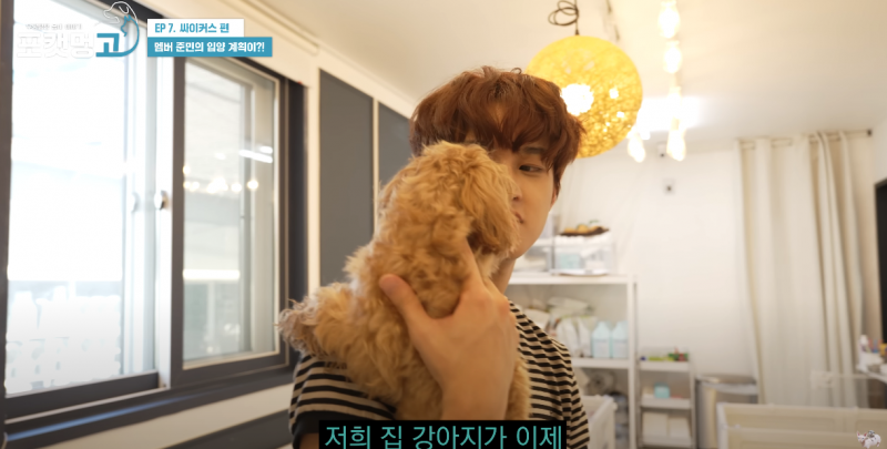 유기견 봉사활동 찰영 중 실시간으로 입양 시도한 남돌 | 인스티즈