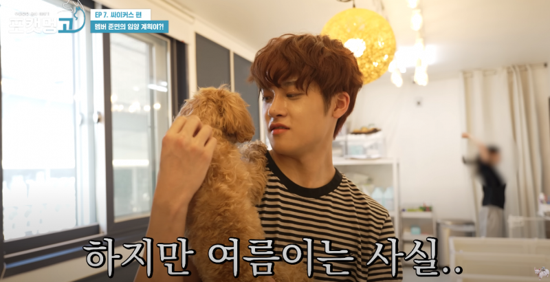 유기견 봉사활동 찰영 중 실시간으로 입양 시도한 남돌 | 인스티즈