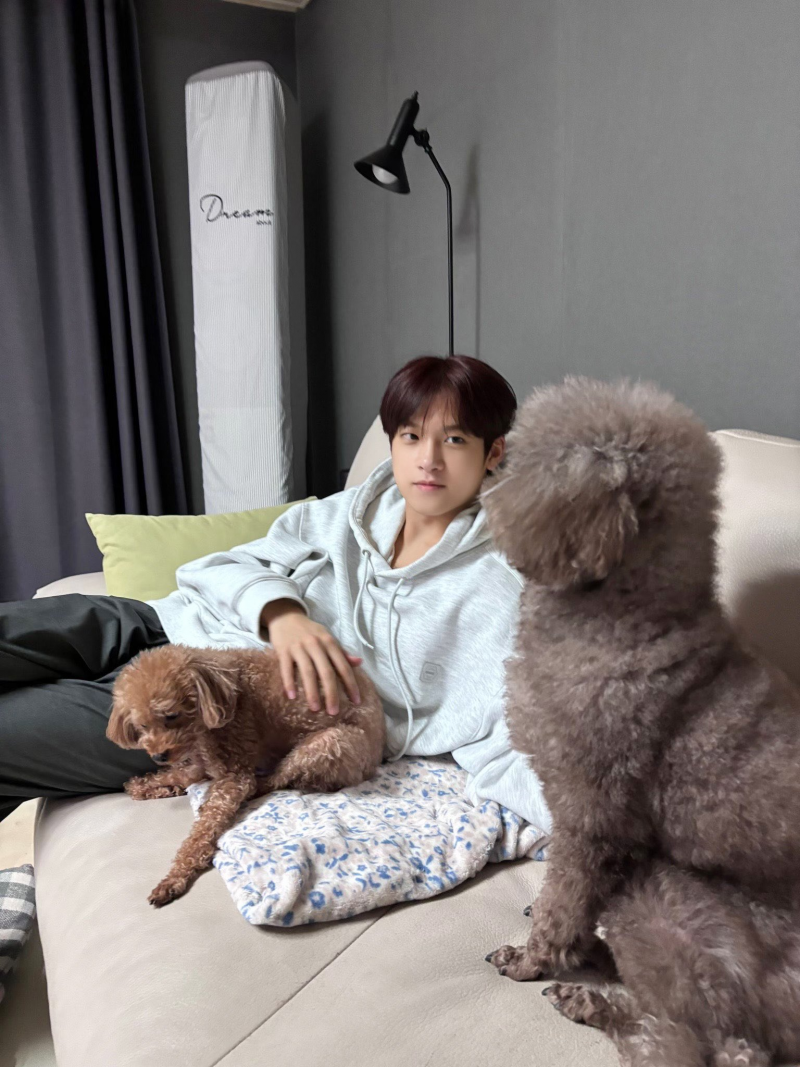 유기견 봉사활동 찰영 중 실시간으로 입양 시도한 남돌 | 인스티즈