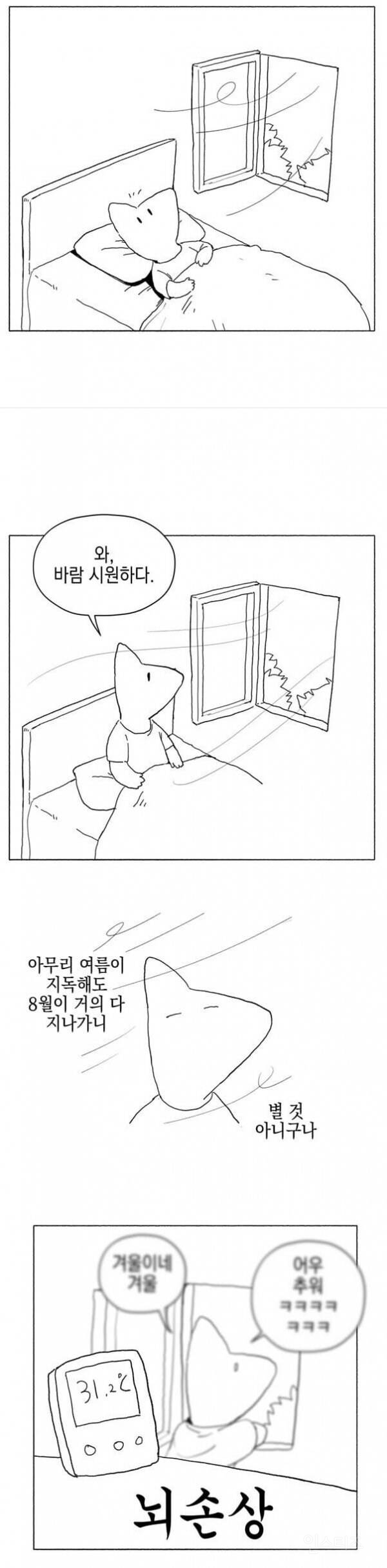 뇌손상 온 사람들이 많다는 한국 근황...jpg | 인스티즈