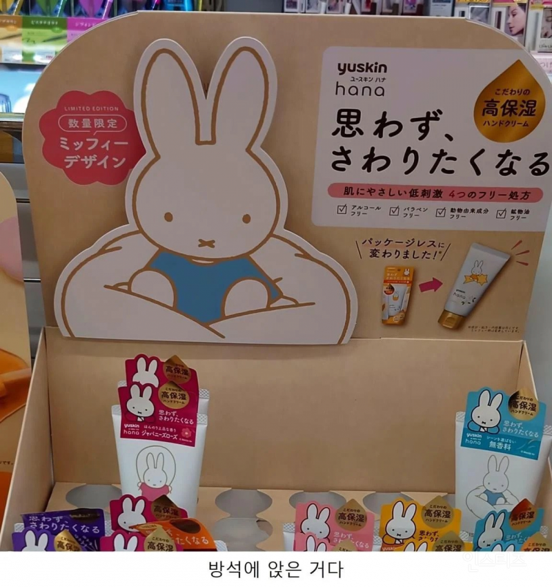 현재 논란 중인 미피 사진 | 인스티즈