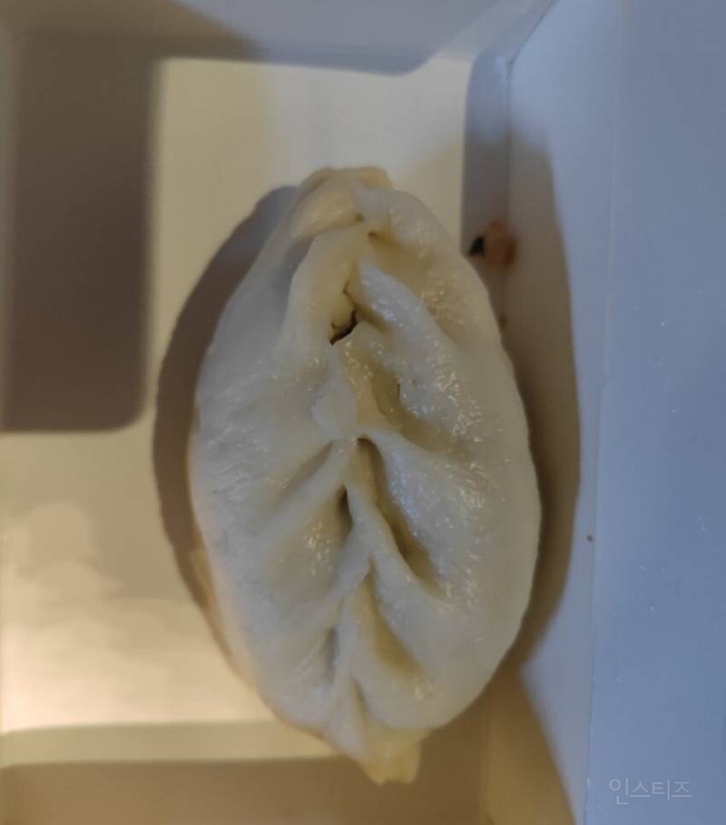 한강에서 예쁜 여자가 남긴 음식 주워먹는다는 ㄷㅅ인(a.k.a 바퀴벌레인간) | 인스티즈