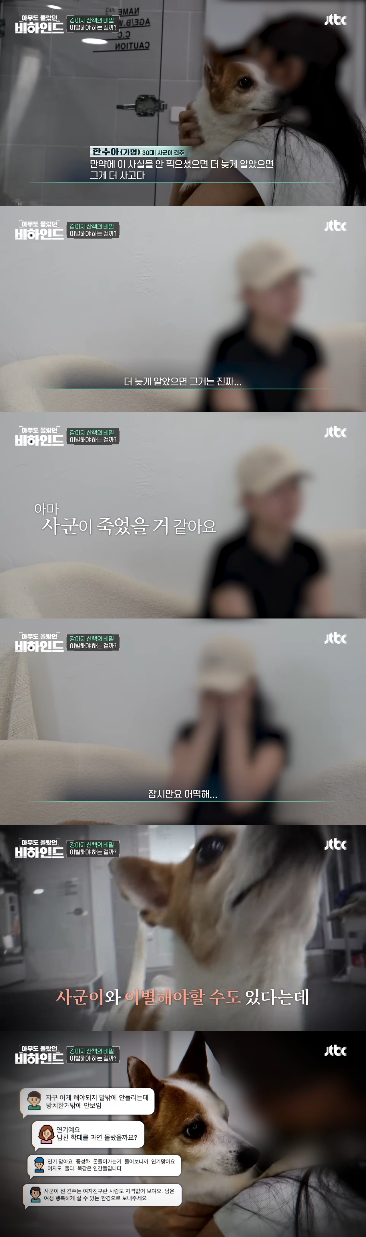 강아지 목줄 잡고 공중에서 휘둘러 난리났던 강아지 학대 사건 비하인드 | 인스티즈