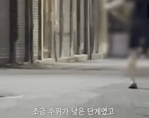 강아지 목줄 잡고 공중에서 휘둘러 난리났던 강아지 학대 사건 비하인드 | 인스티즈