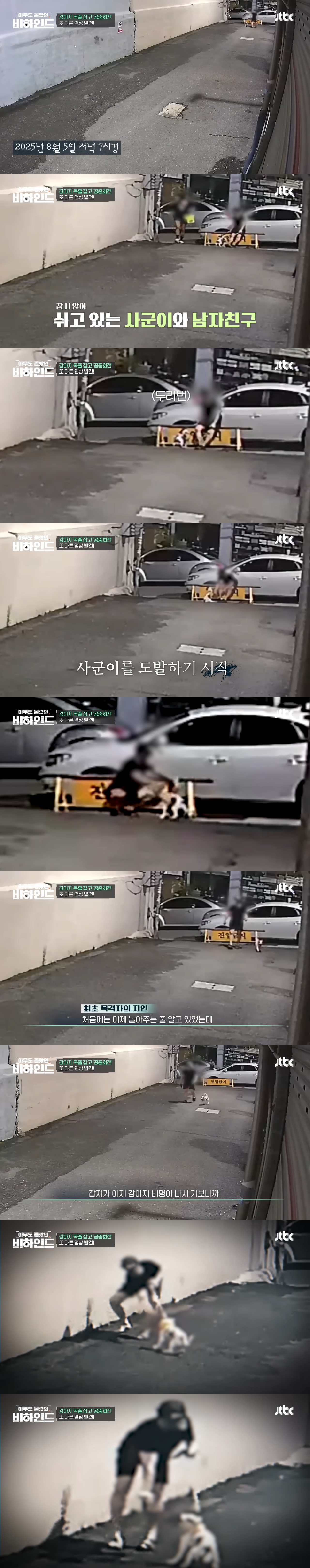 강아지 목줄 잡고 공중에서 휘둘러 난리났던 강아지 학대 사건 비하인드 | 인스티즈