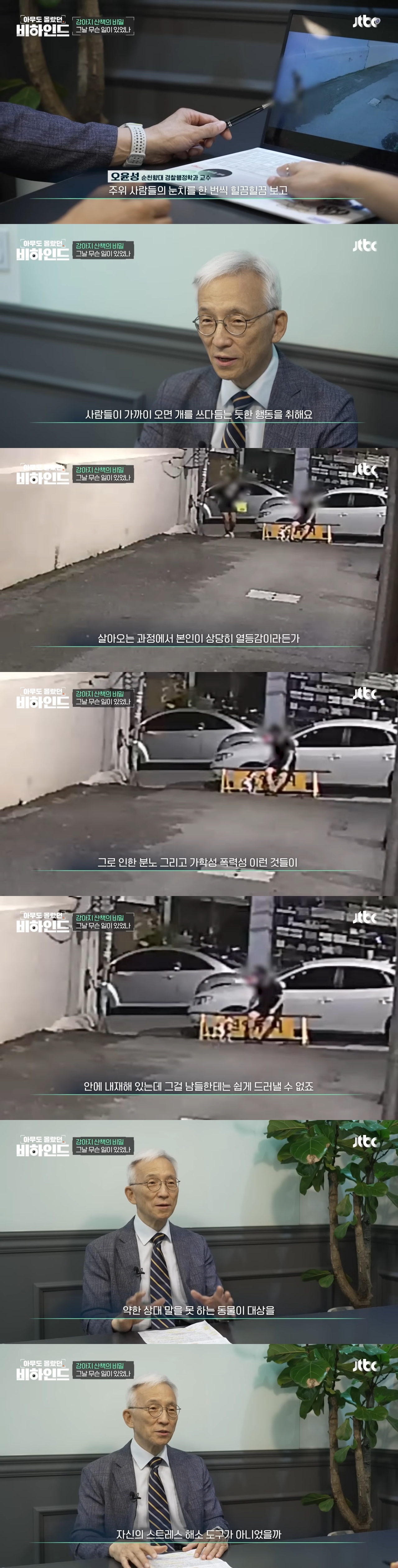 강아지 목줄 잡고 공중에서 휘둘러 난리났던 강아지 학대 사건 비하인드 | 인스티즈