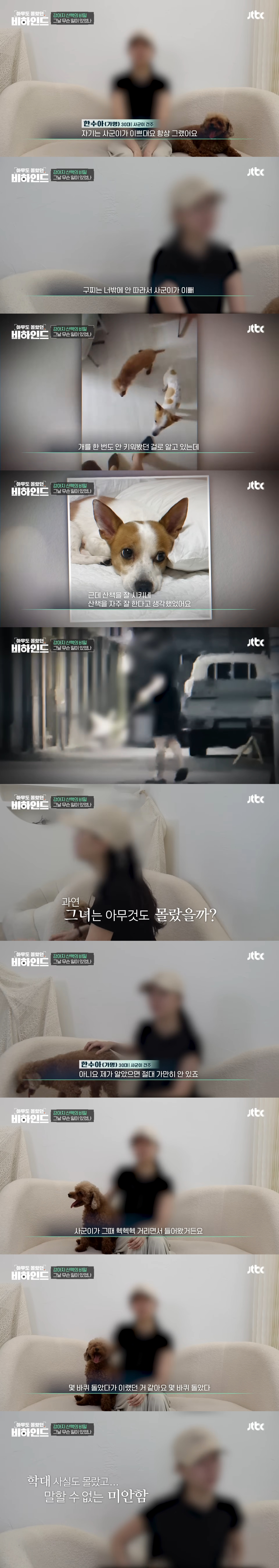 강아지 목줄 잡고 공중에서 휘둘러 난리났던 강아지 학대 사건 비하인드 | 인스티즈