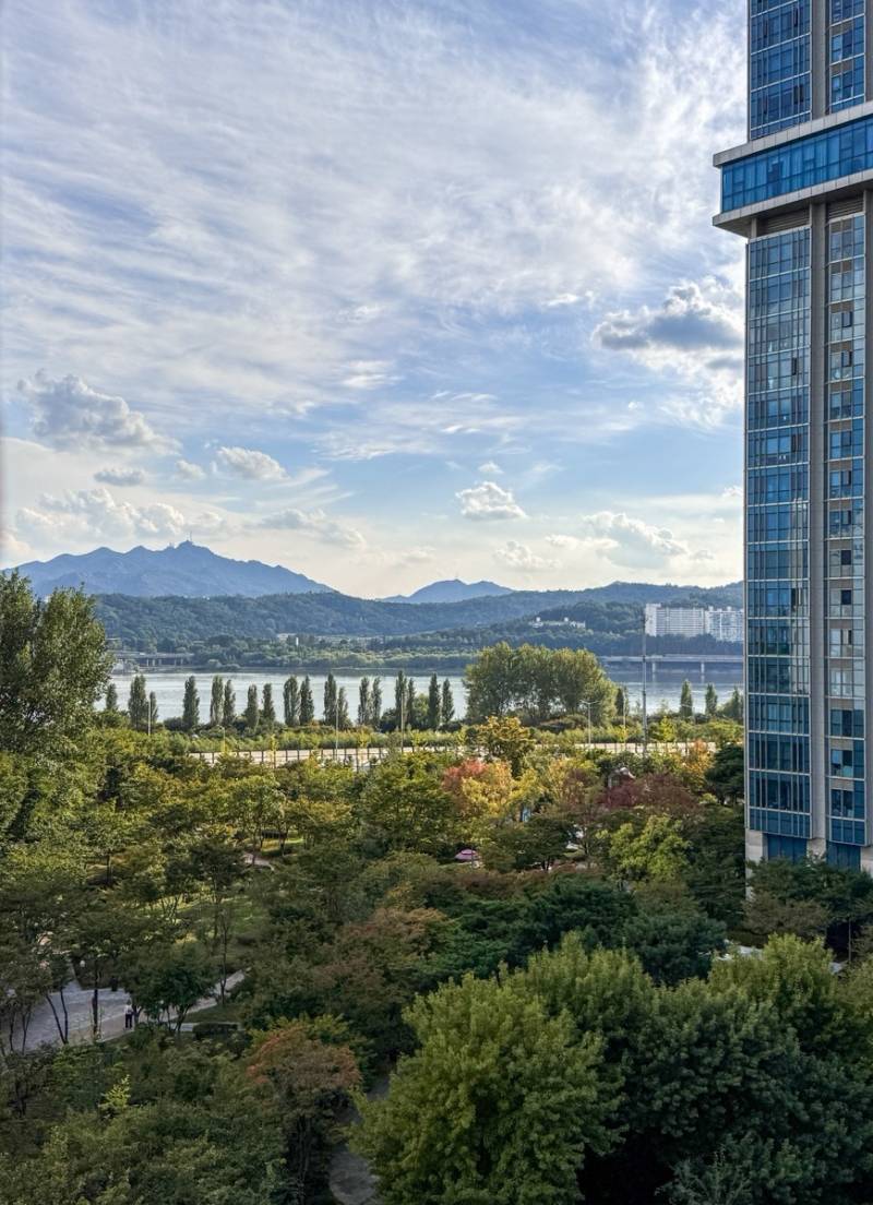 동부이촌동 아파트는 기다려주지 않는다 | 인스티즈