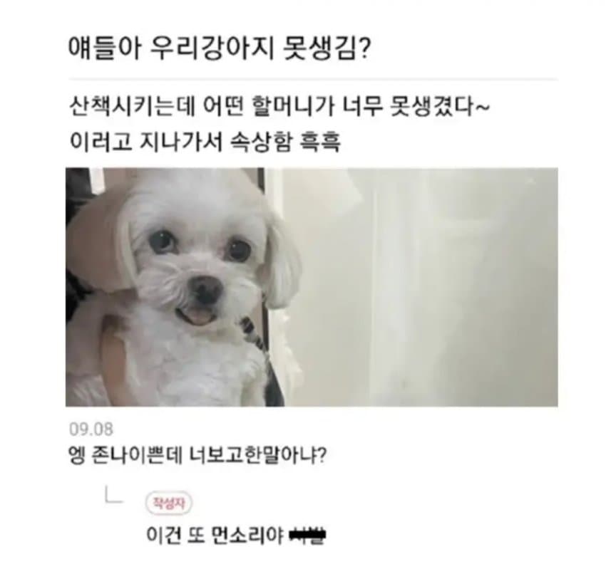 [잡담] 익인들아 우리 강아지 못생김? | 인스티즈