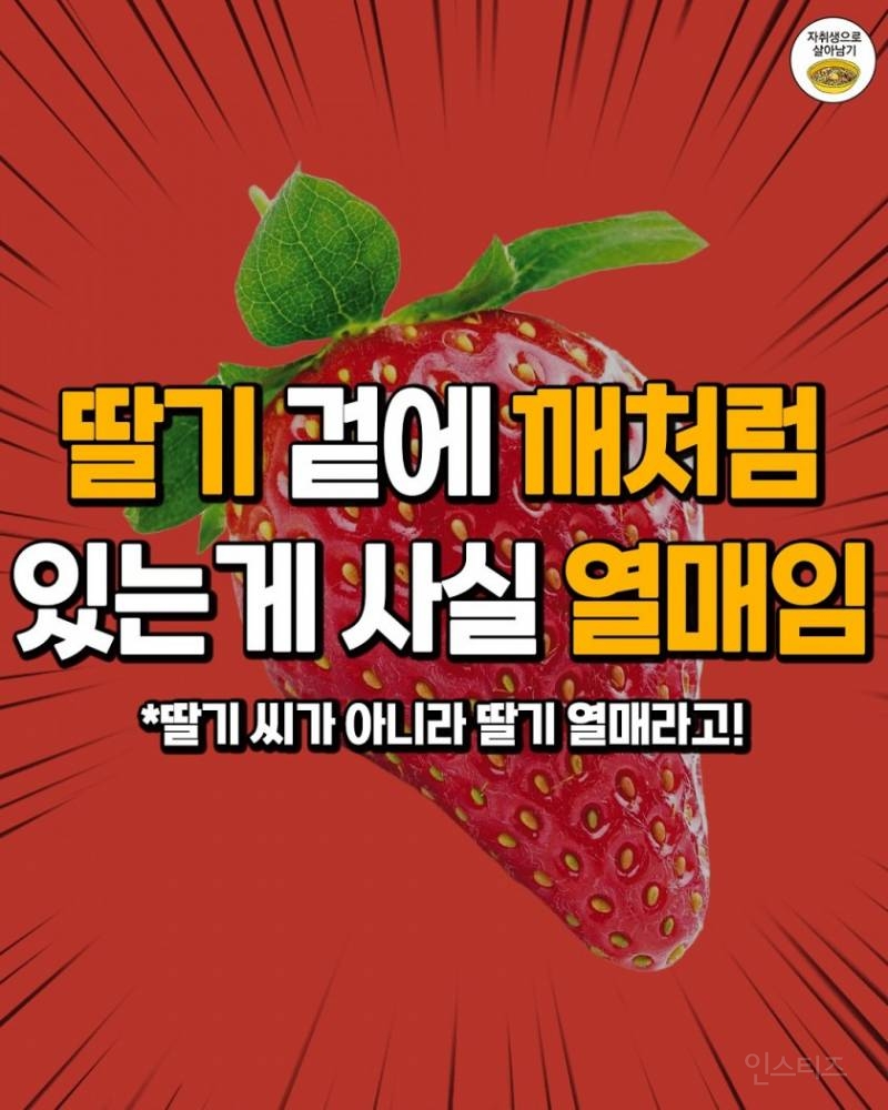 그동안 모르고 먹었던 충격적 사실들 | 인스티즈