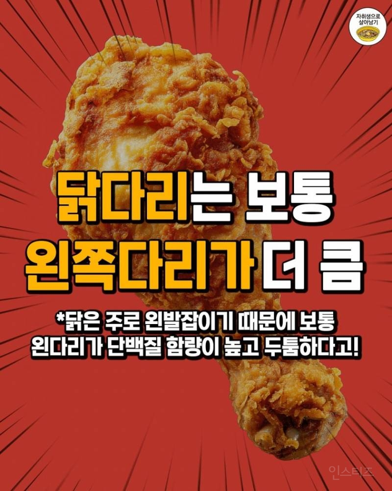 그동안 모르고 먹었던 충격적 사실들 | 인스티즈